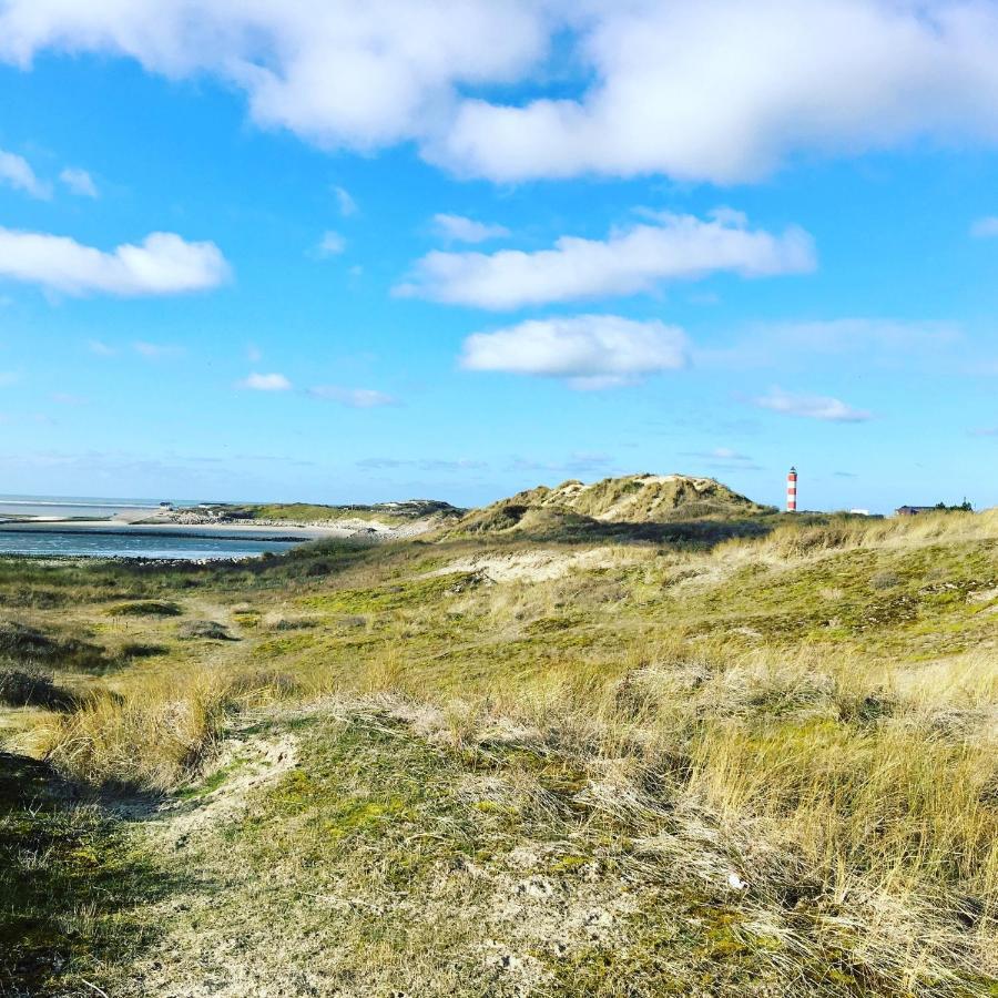 Paddle - Vue Mer - 100M Plage Berck Dış mekan fotoğraf