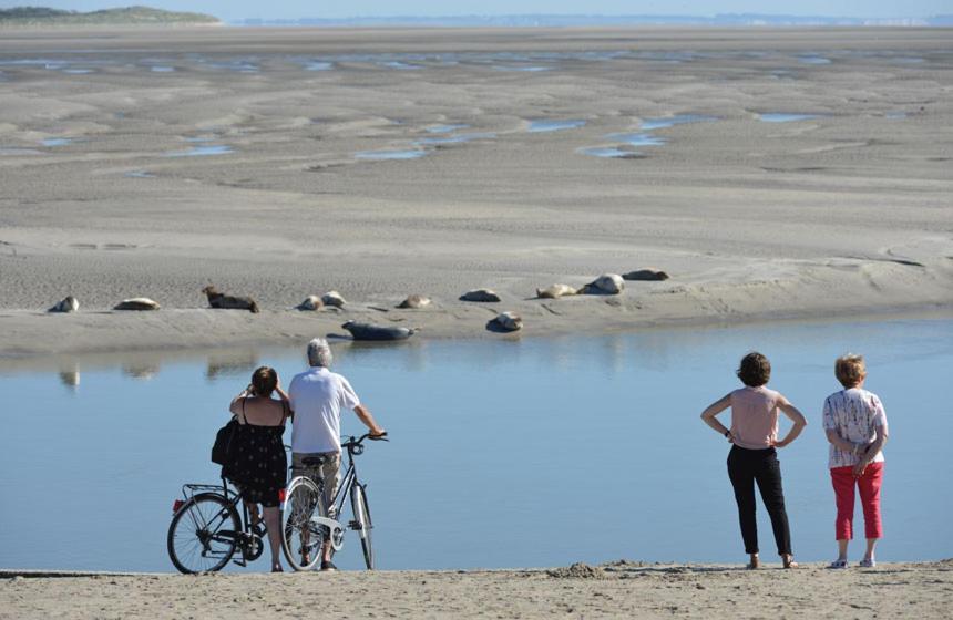 Paddle - Vue Mer - 100M Plage Berck Dış mekan fotoğraf