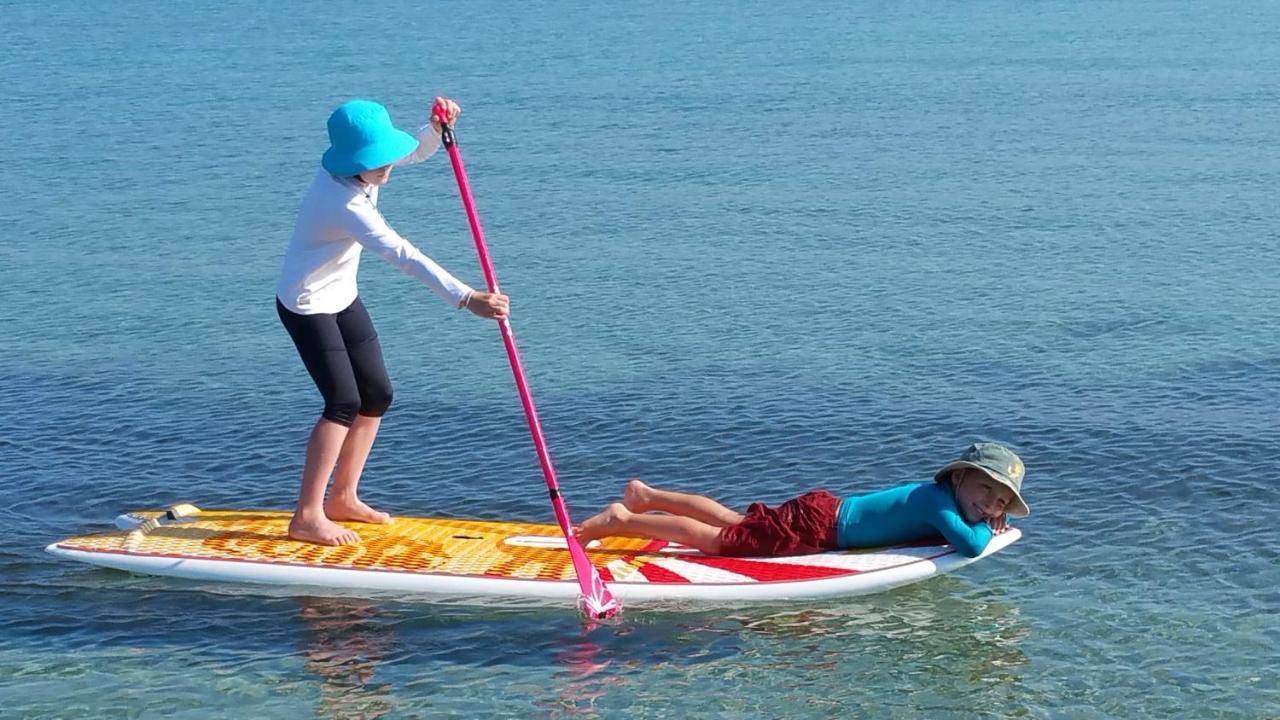 Paddle - Vue Mer - 100M Plage Berck Dış mekan fotoğraf