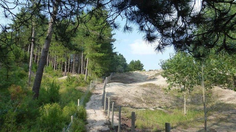 Paddle - Vue Mer - 100M Plage Berck Dış mekan fotoğraf