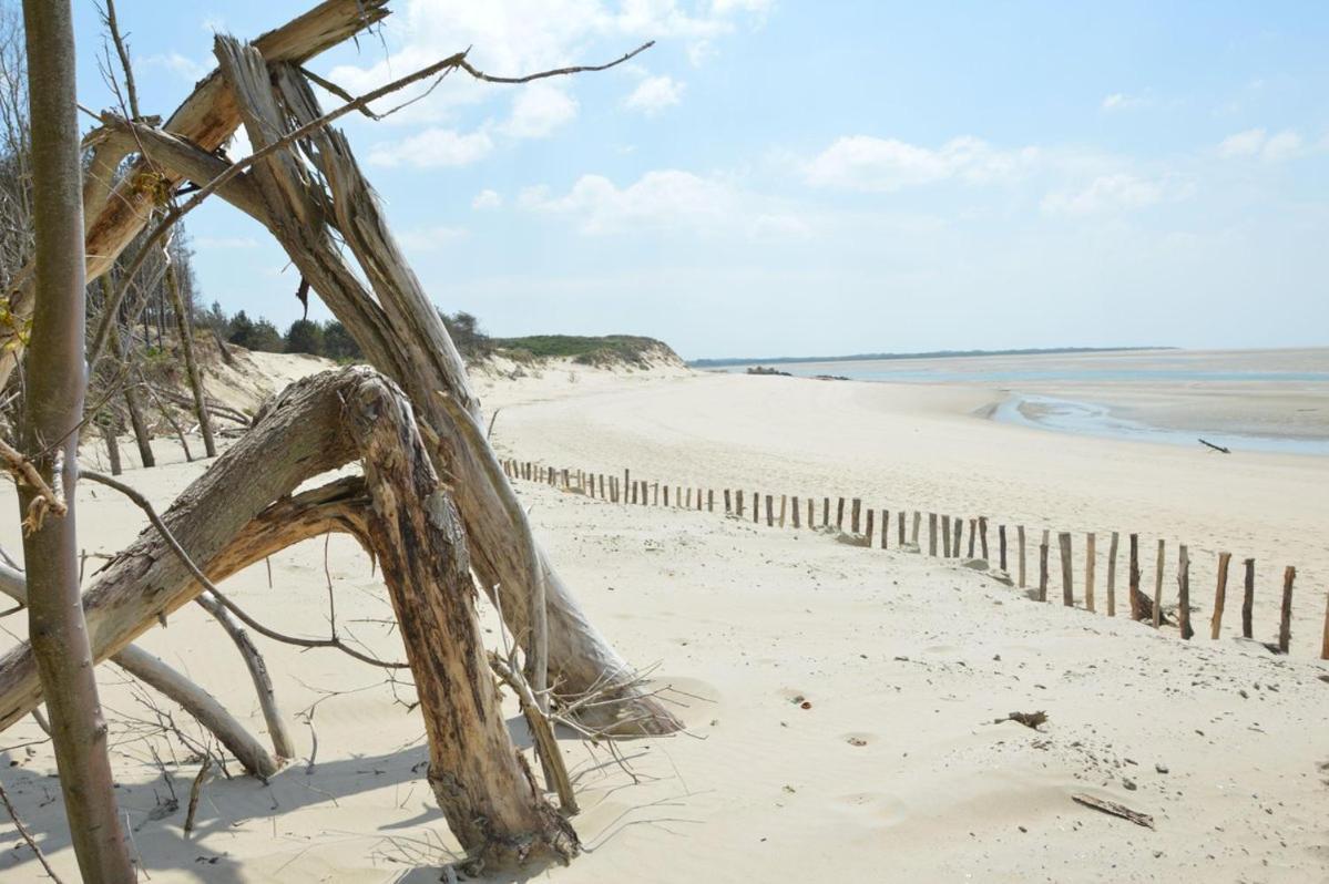 Paddle - Vue Mer - 100M Plage Berck Dış mekan fotoğraf